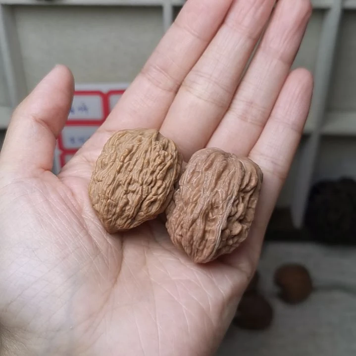 四座楼一帆风顺噶古对儿