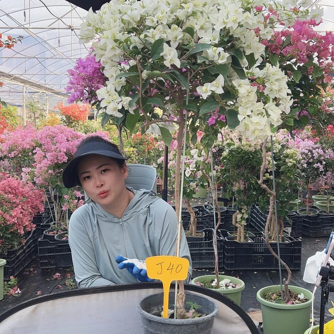 范***冰完全开放J40白雪公主