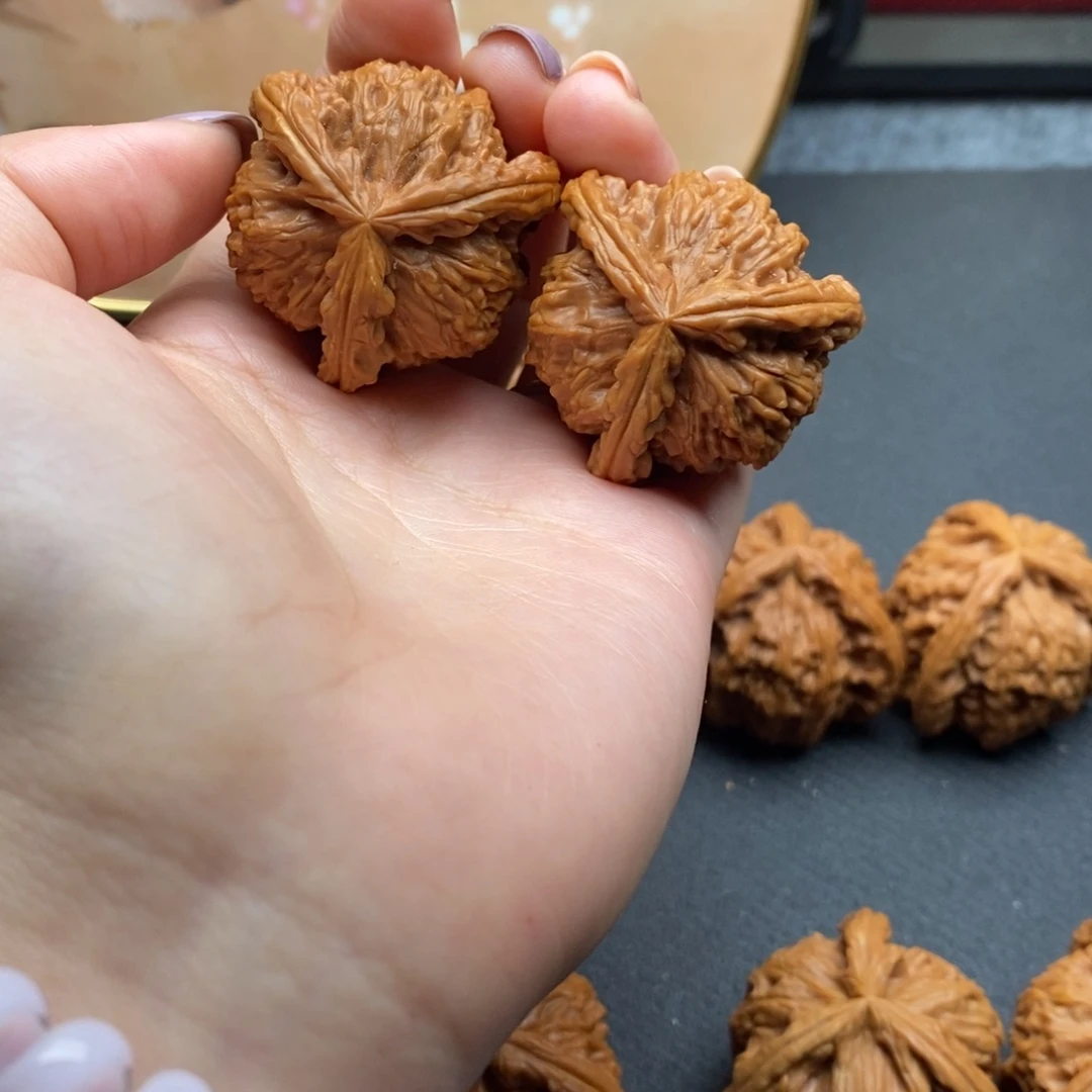 朋*白狮子1111111111111