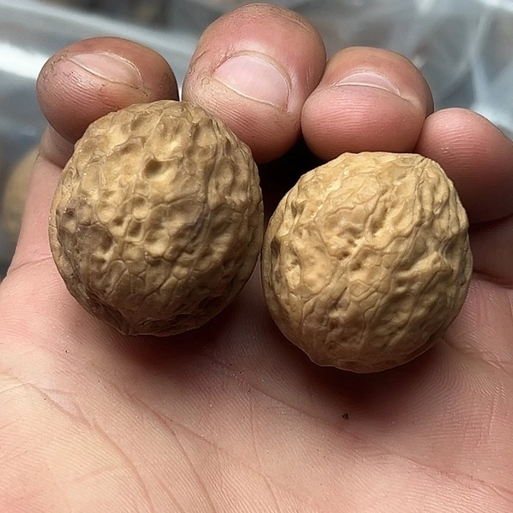 核桃70号提溜圆小手捻33尺
