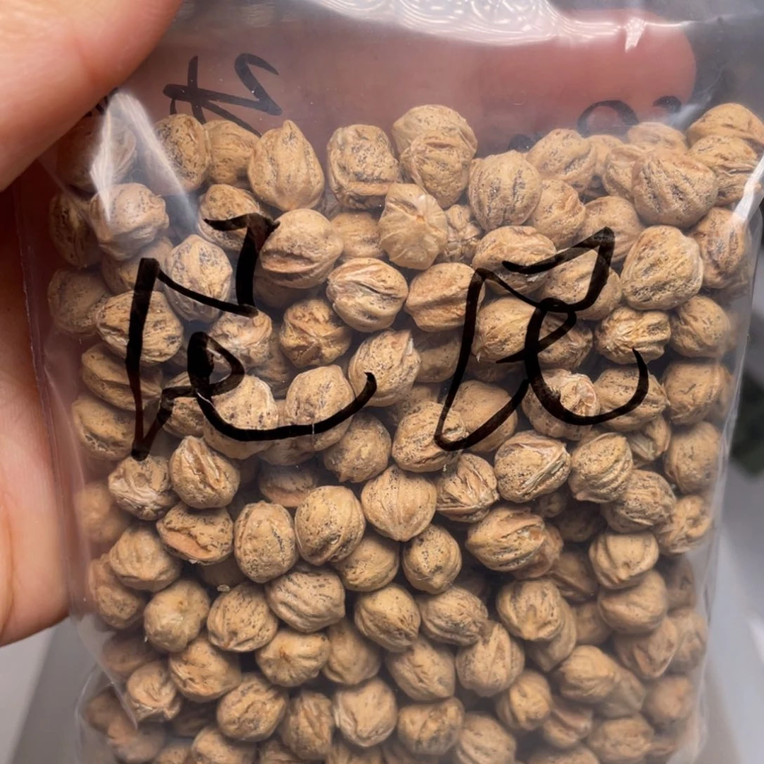柏香籽/百香籽吊坠?****?
