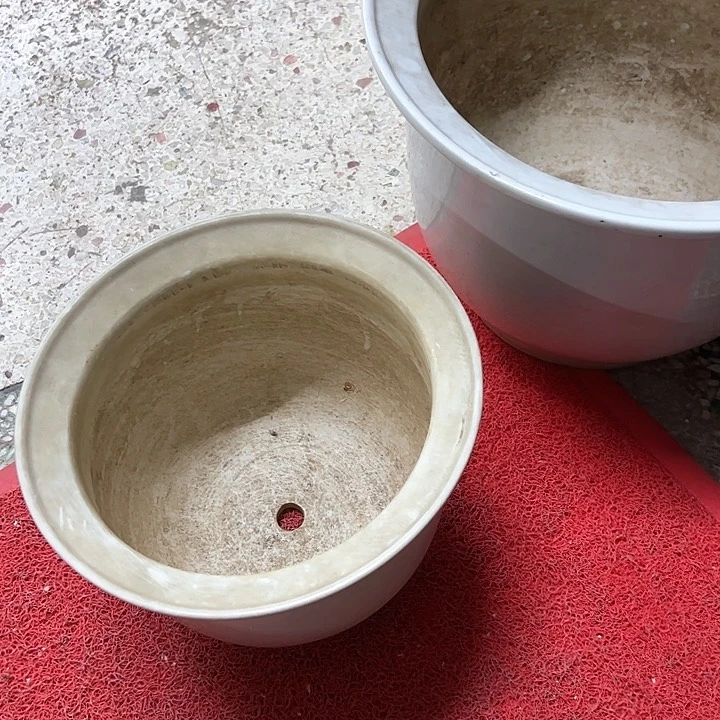 红陶东**文。。。。。。。。。。。