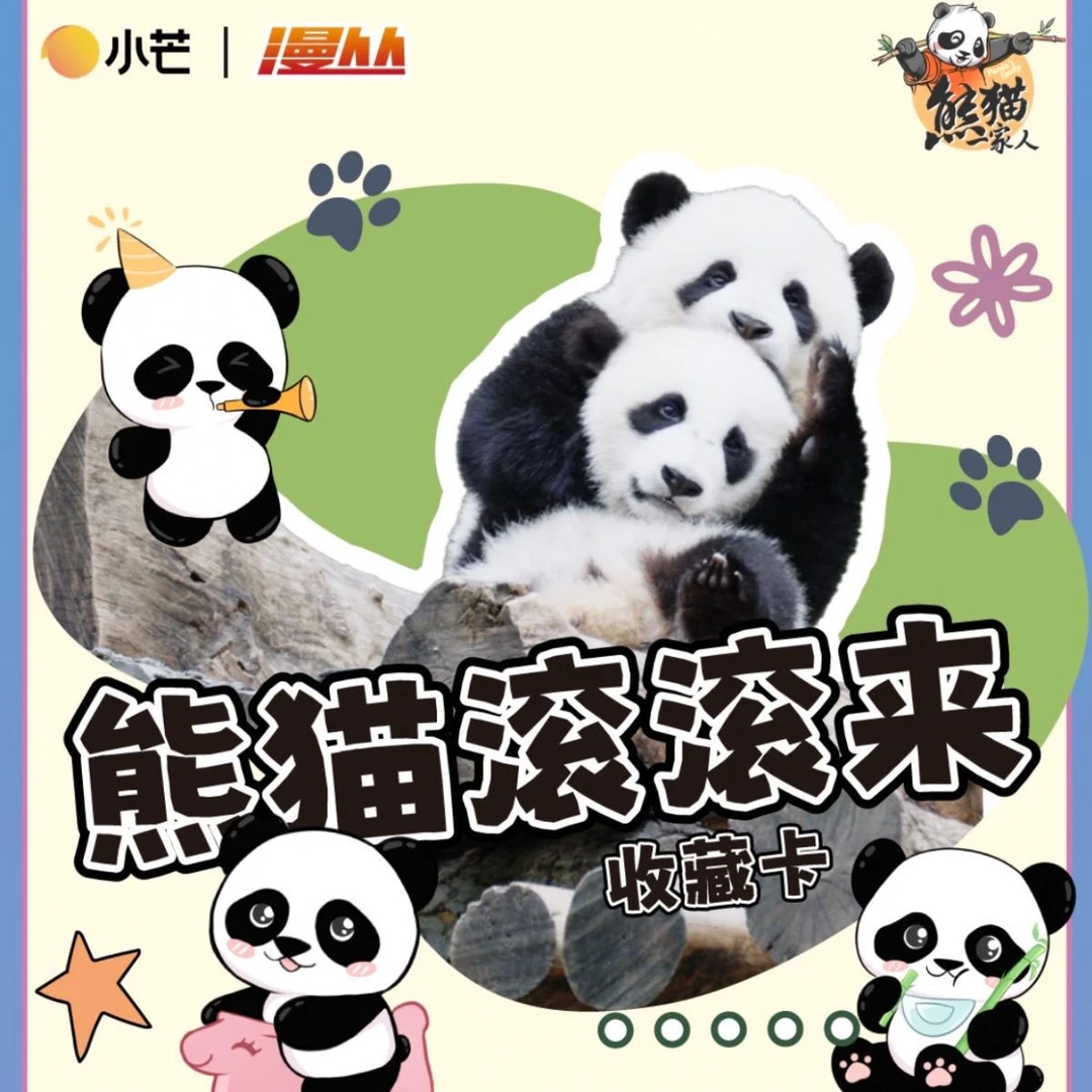 【平拆】小芒正版熊猫滚滚来系列熊猫一家人收藏卡牌潮玩盲盒-代拆