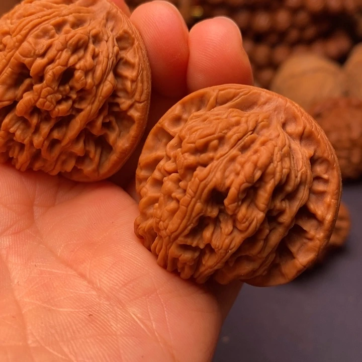 秦岭野生文玩核桃