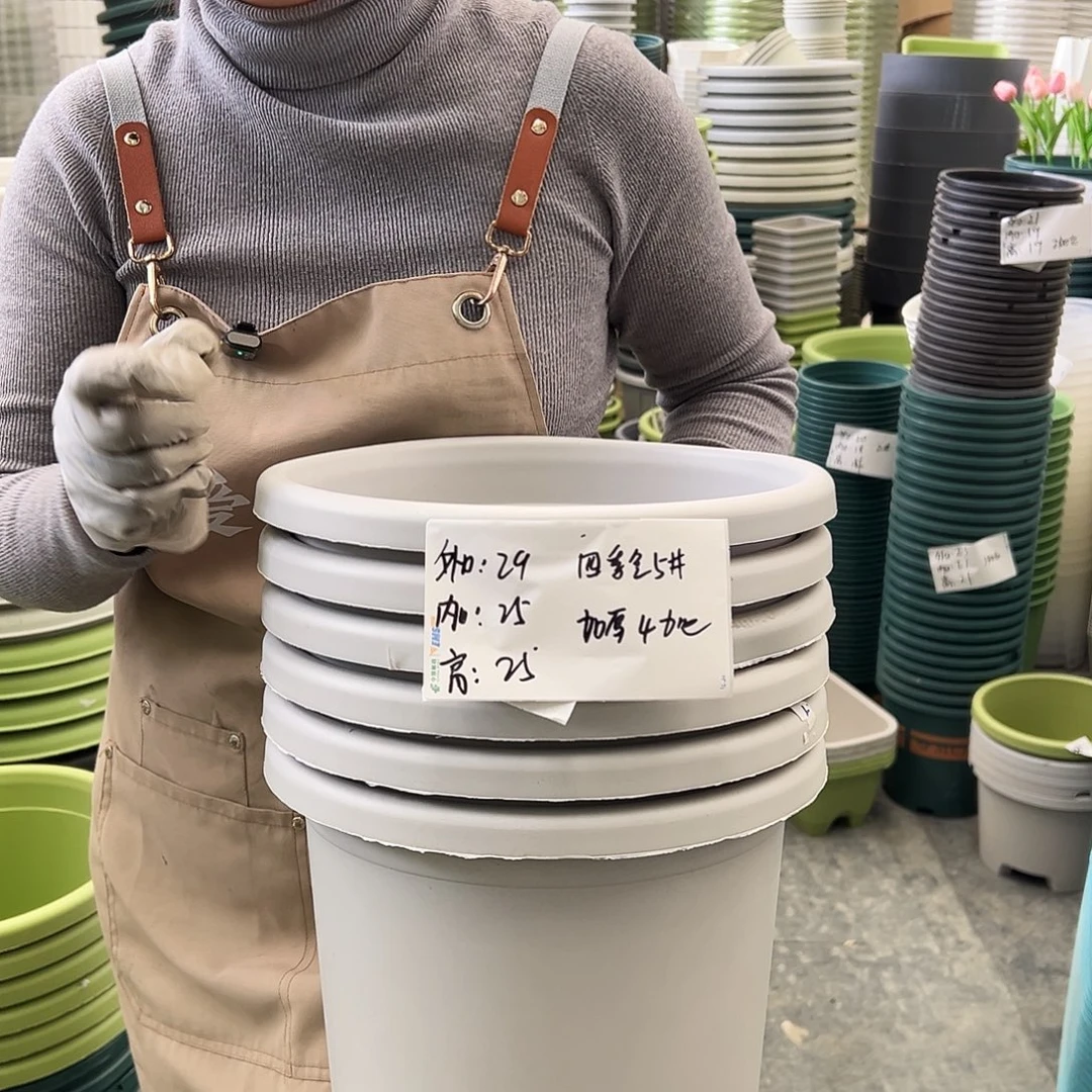 四季盆5#灰白色6个无托