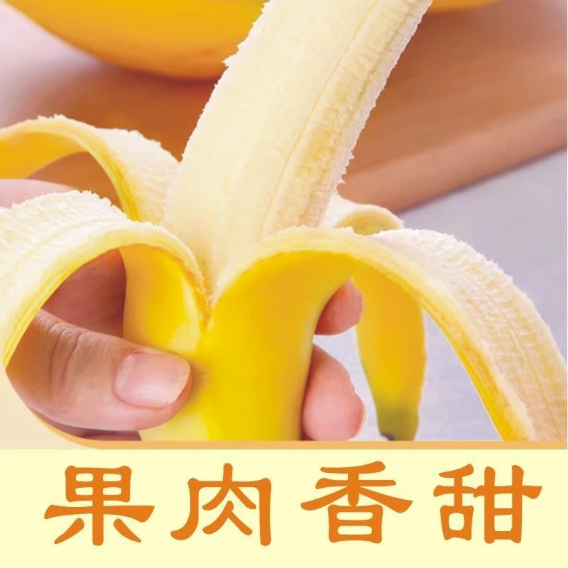 菲律宾进口香蕉五斤