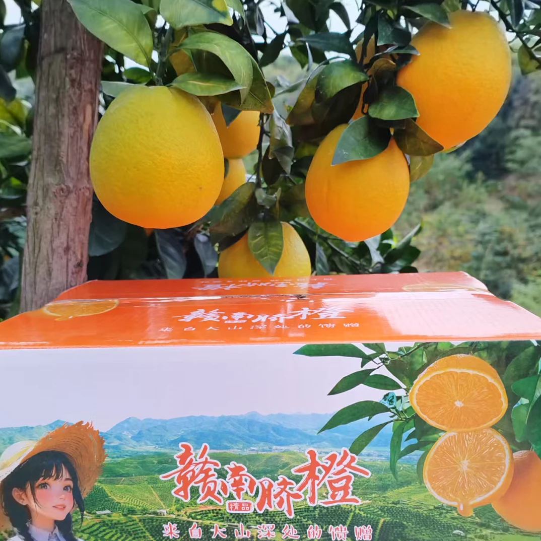 江西赣南早橙新鲜当季孕妇水果水大果甜橙产地直发