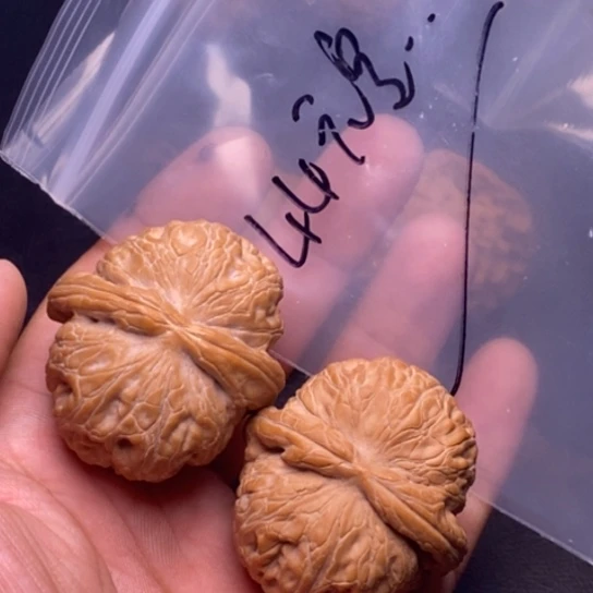 【闪购商品】把件文玩核桃G**载元宝