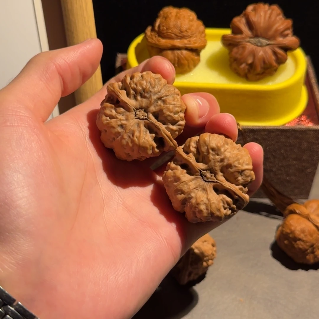 随***.核桃福利蛤蟆头 打底盘玩后不退换