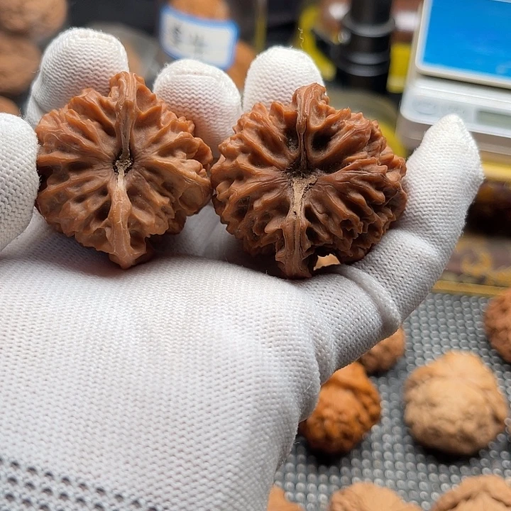 把件桃核曹大龙边42肚42高42