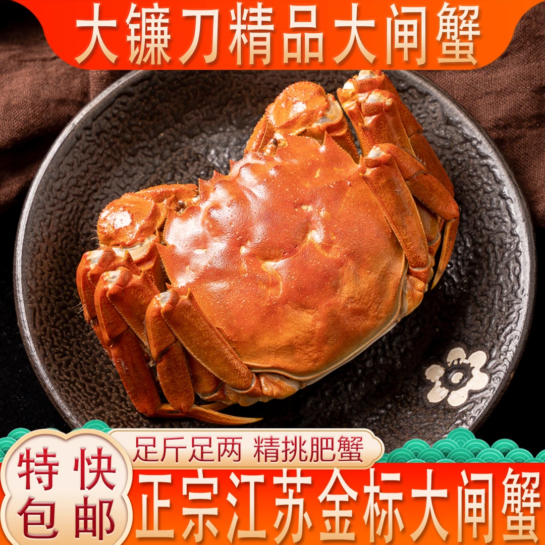 活蟹【金标大闸蟹】公5.0-4.7两精品超大蟹 8加2只 共10只冷链包邮
