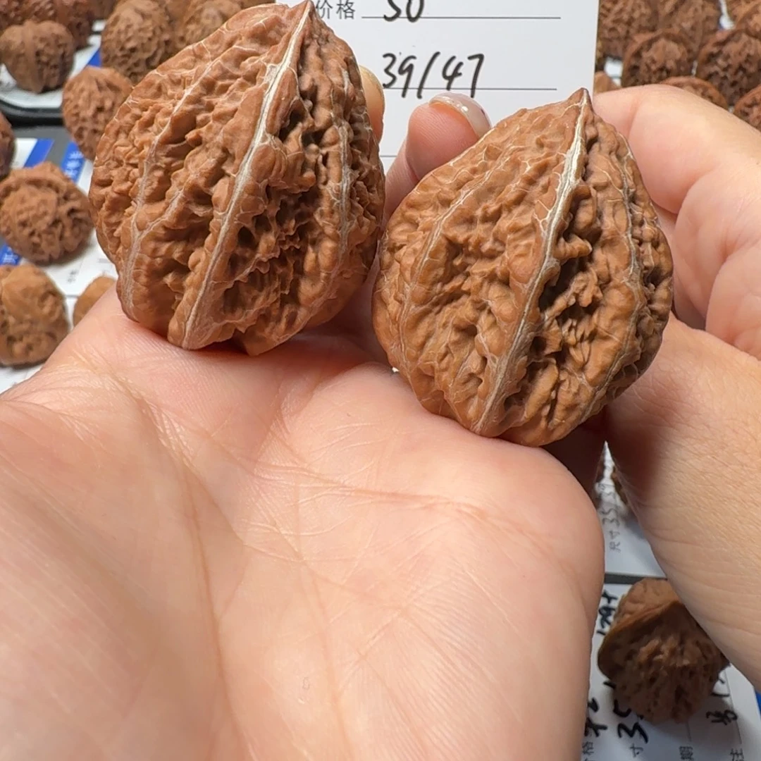 核桃120号 3.9尺天然野生楸子