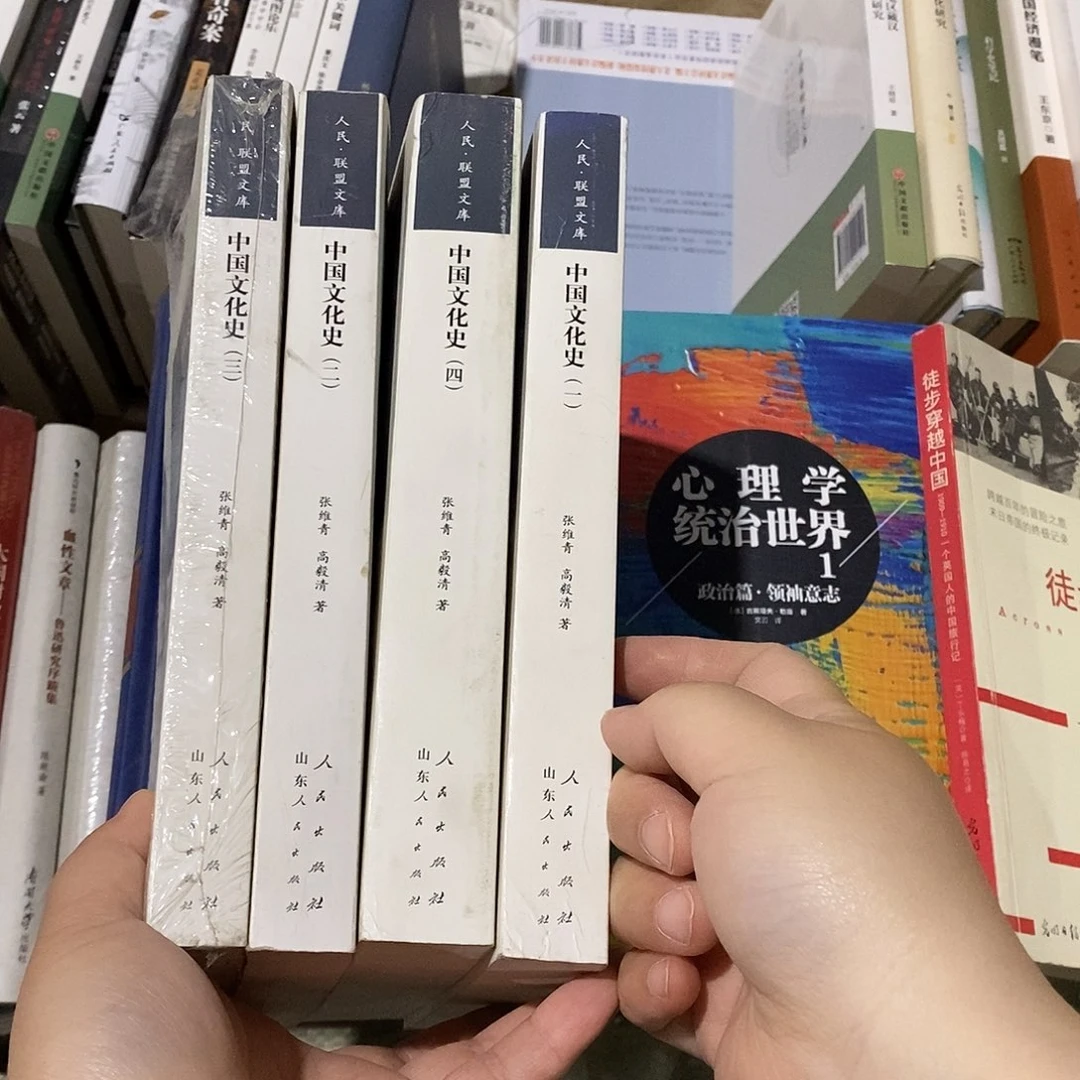 中国文化史 全4册微瑕