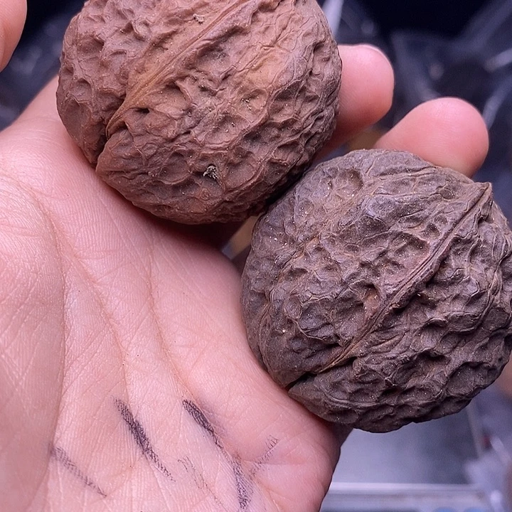 文玩核桃把件   290