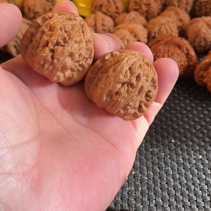 文玩核桃把件白狮子38尺