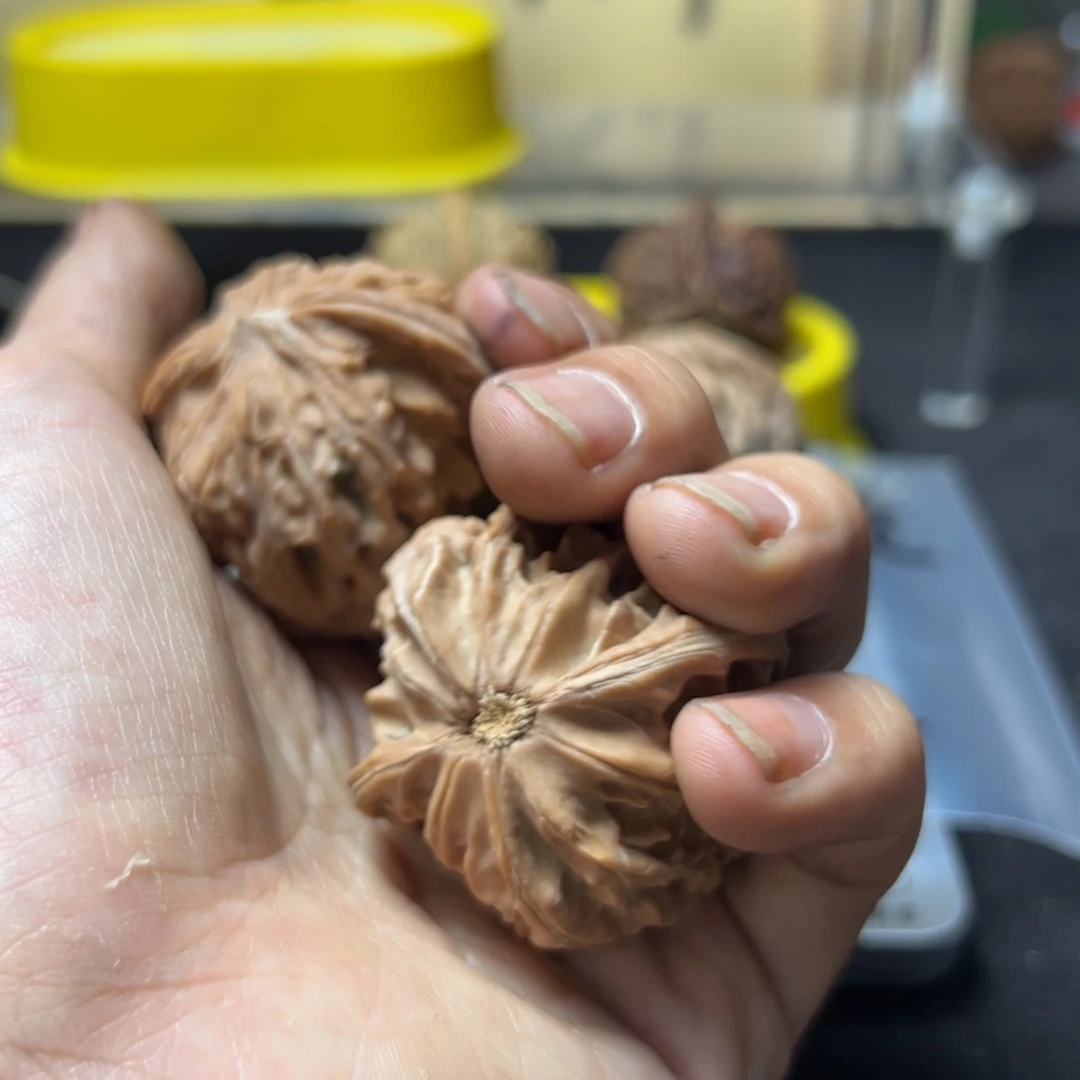 阿**业文玩核桃文玩手串