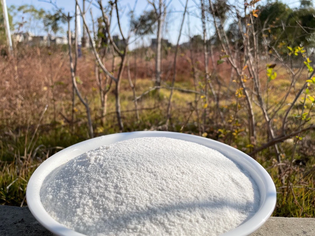 原味蒸肉米粉纯大米打制蒸肉粉原味豆