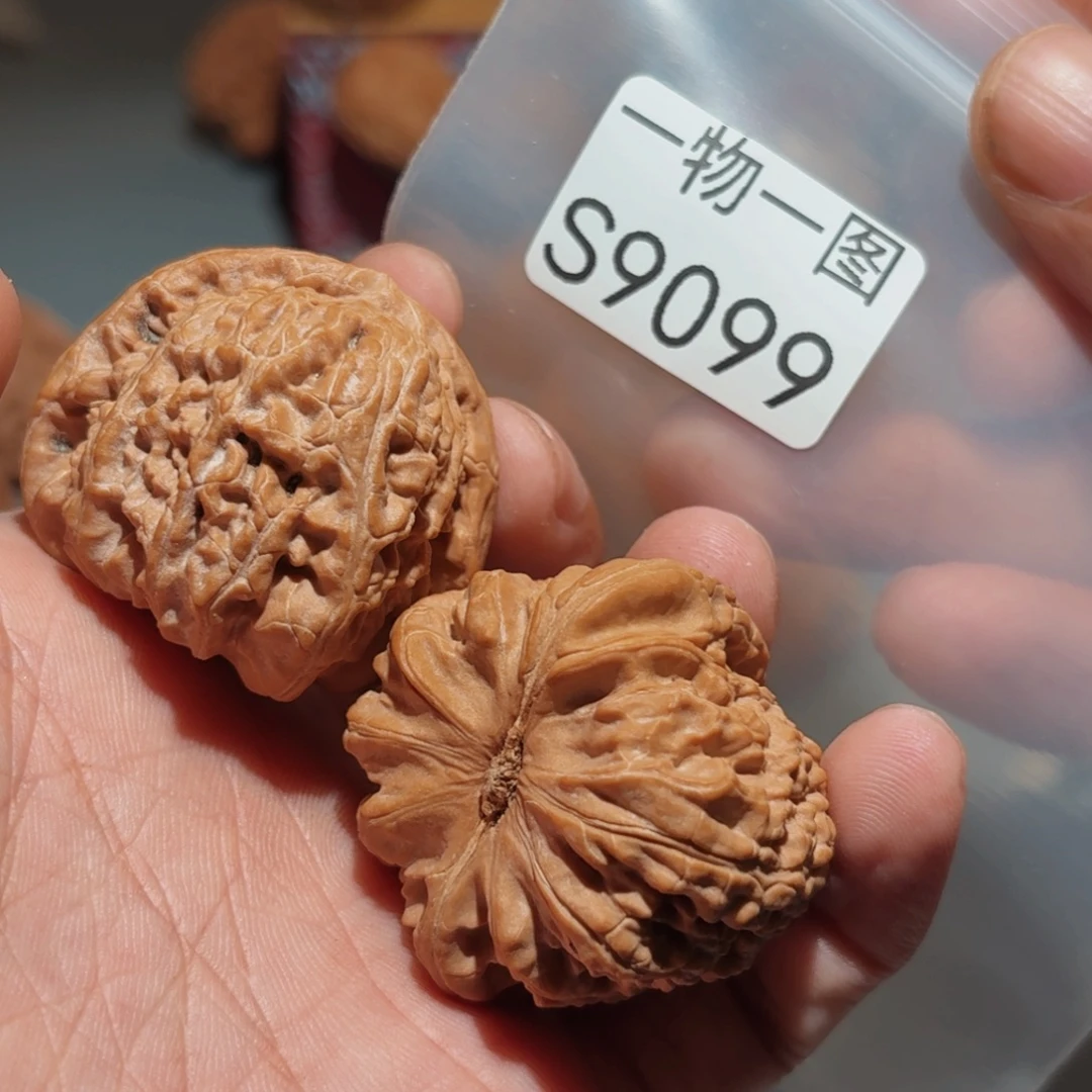 大***凯文玩核桃把件白狮子