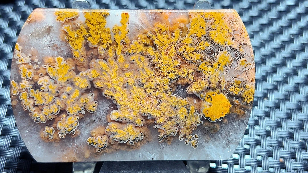 战国红金草麦穗套牌