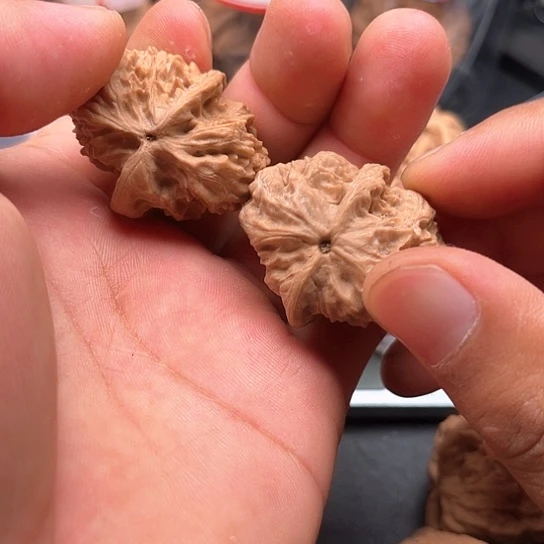 文玩核桃把件野狼