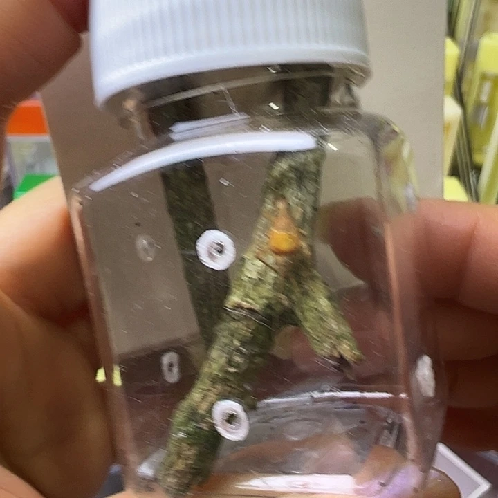 爱***然哈哈哈哈哈哈哈哈哈哈哈哈哈哈