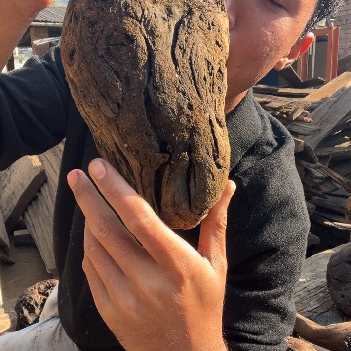 阴沉木铁栗原材料