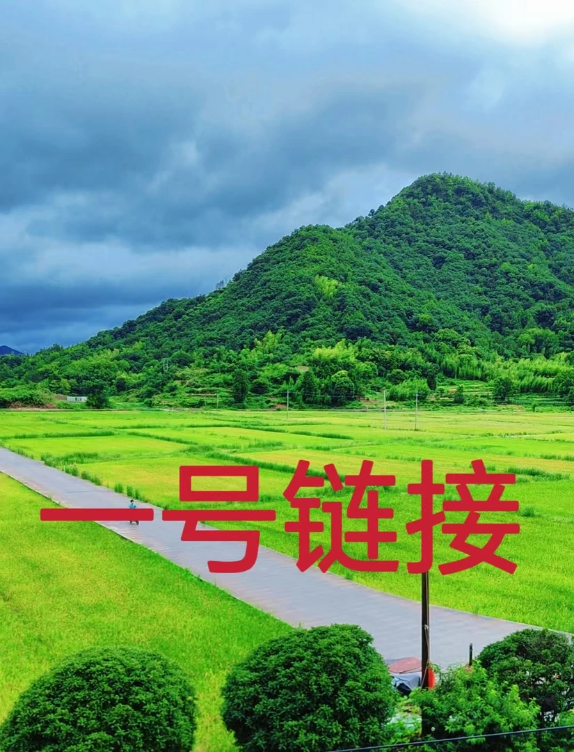 【一号链接】80布头 高端定制 真丝香云纱布料 香云纱真丝面料