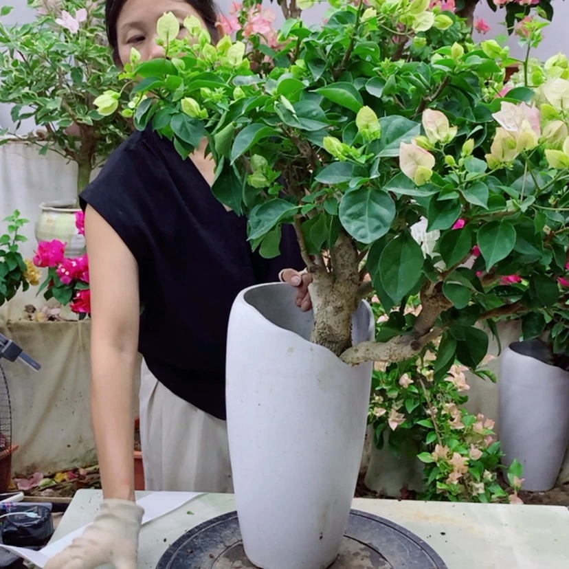 【闪购商品】完全开放