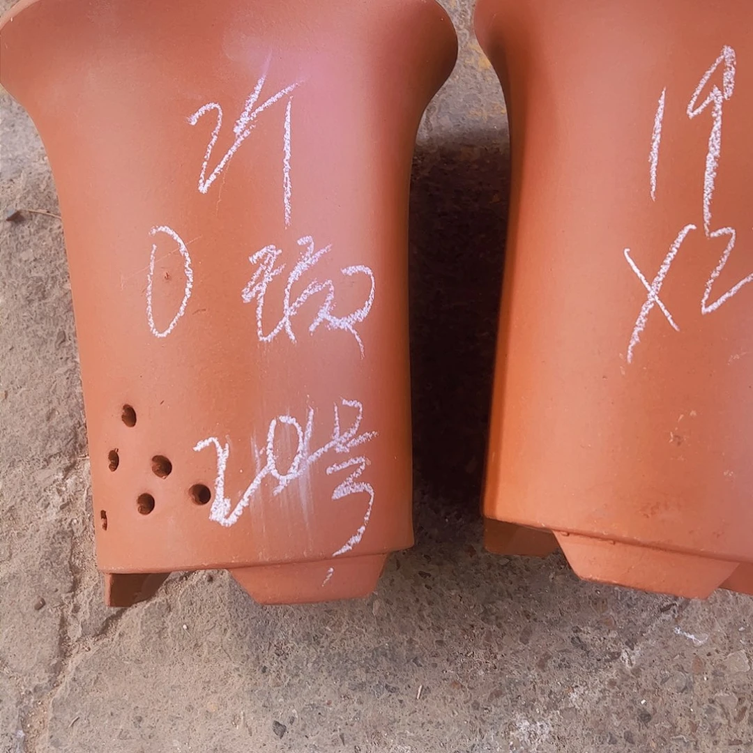 紫砂20………………………………