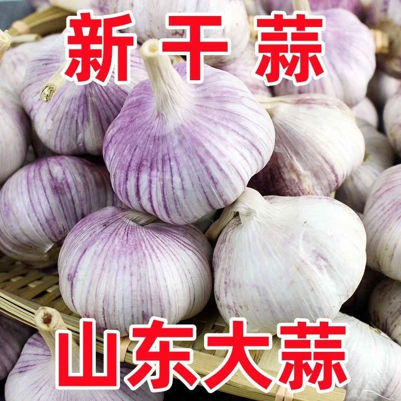【超低价】山东紫白皮大蒜头新干蒜特大号新鲜大蒜厨房必备蒜批发价