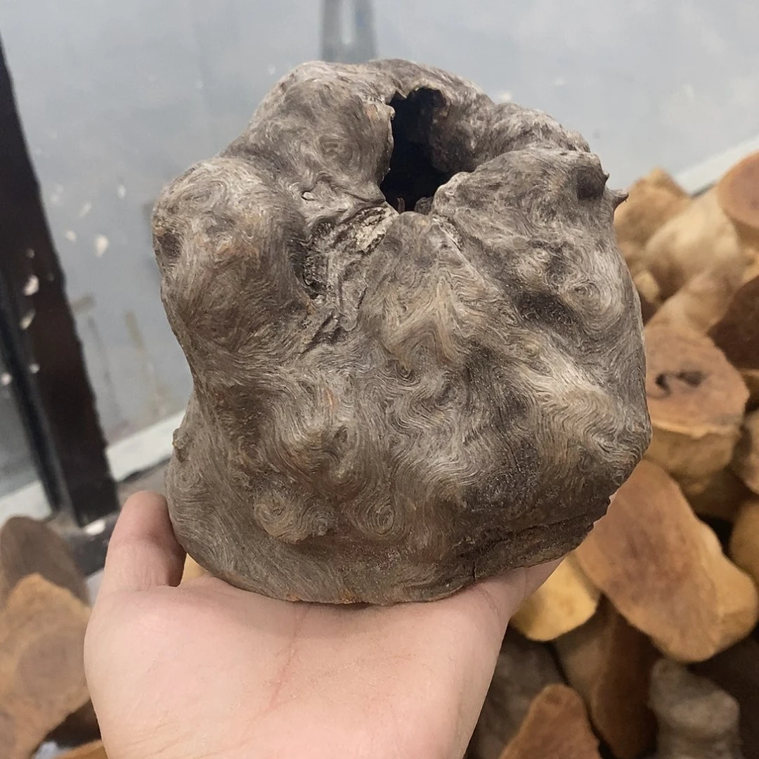 荔枝木嘟*噜荔枝木原料