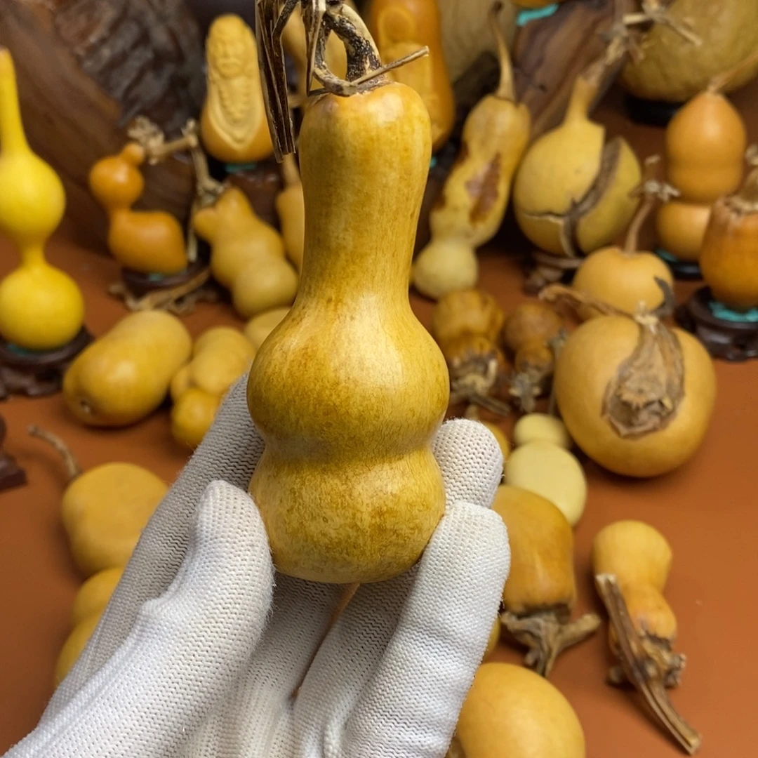 璞***緣教练咯考虑教练咯教练