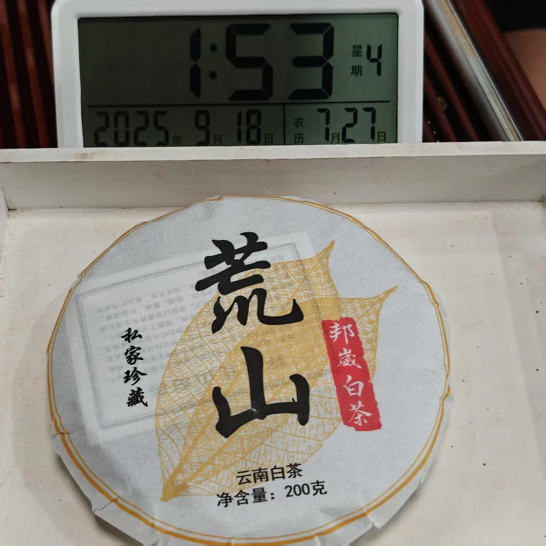 2020年邦崴大树（荒山）白茶饼  春  200克*2饼【1005号】9-17