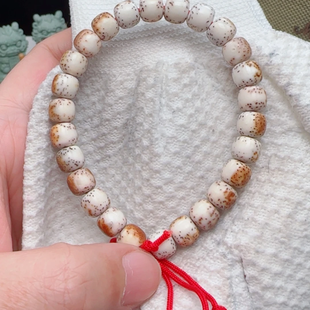 星月菩提手串陈籽河豚9*8