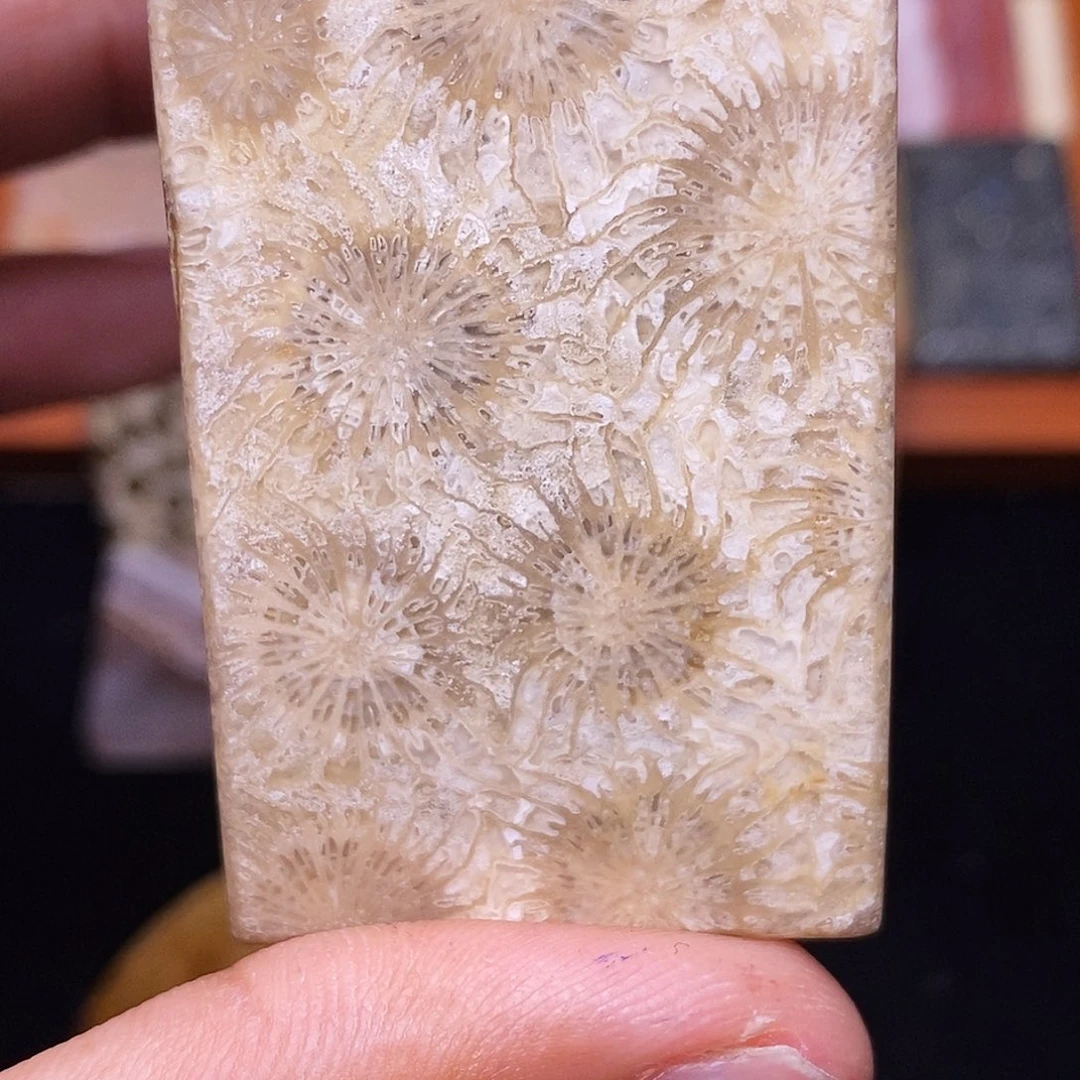 喜***七合金珊瑚玉硅化玉