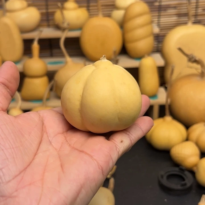 ?*?葫芦葫芦葫芦葫芦葫芦葫芦