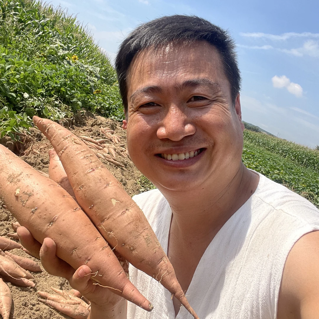 陕北老品种山地红薯 红薯 软糯香甜 农家自种 原生态