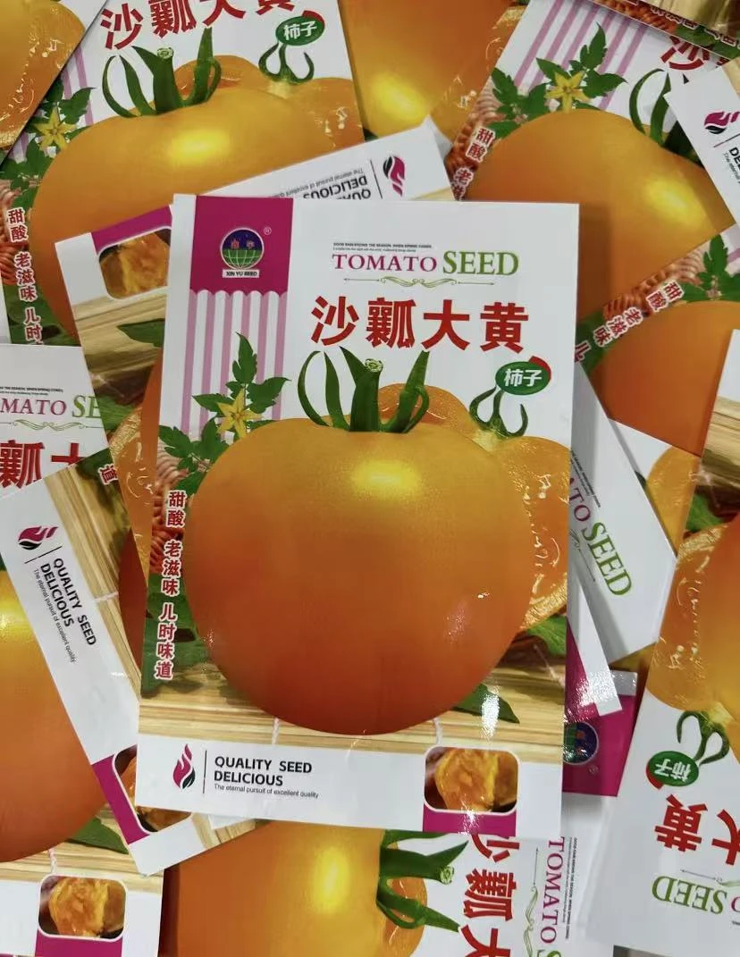 老品种西红柿黄色大西红柿种子沙瓤大黄柿子种子阳台盆栽蔬菜种子