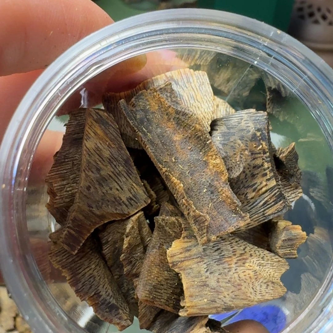 沉香手把件海南千里香牛肉干块料20克