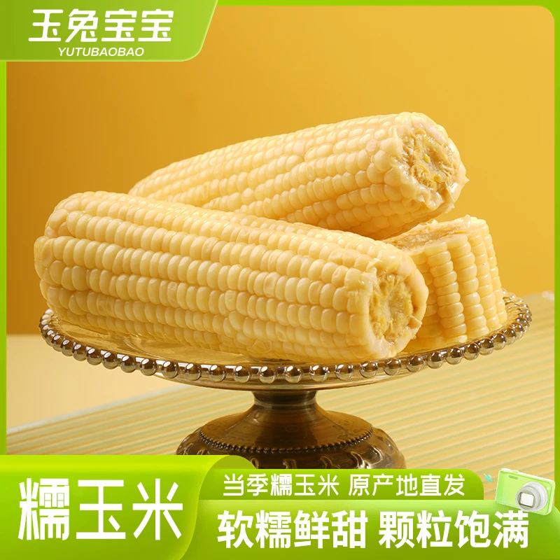 玉兔宝宝河套白糯玉米新鲜玉米早餐真空锁鲜