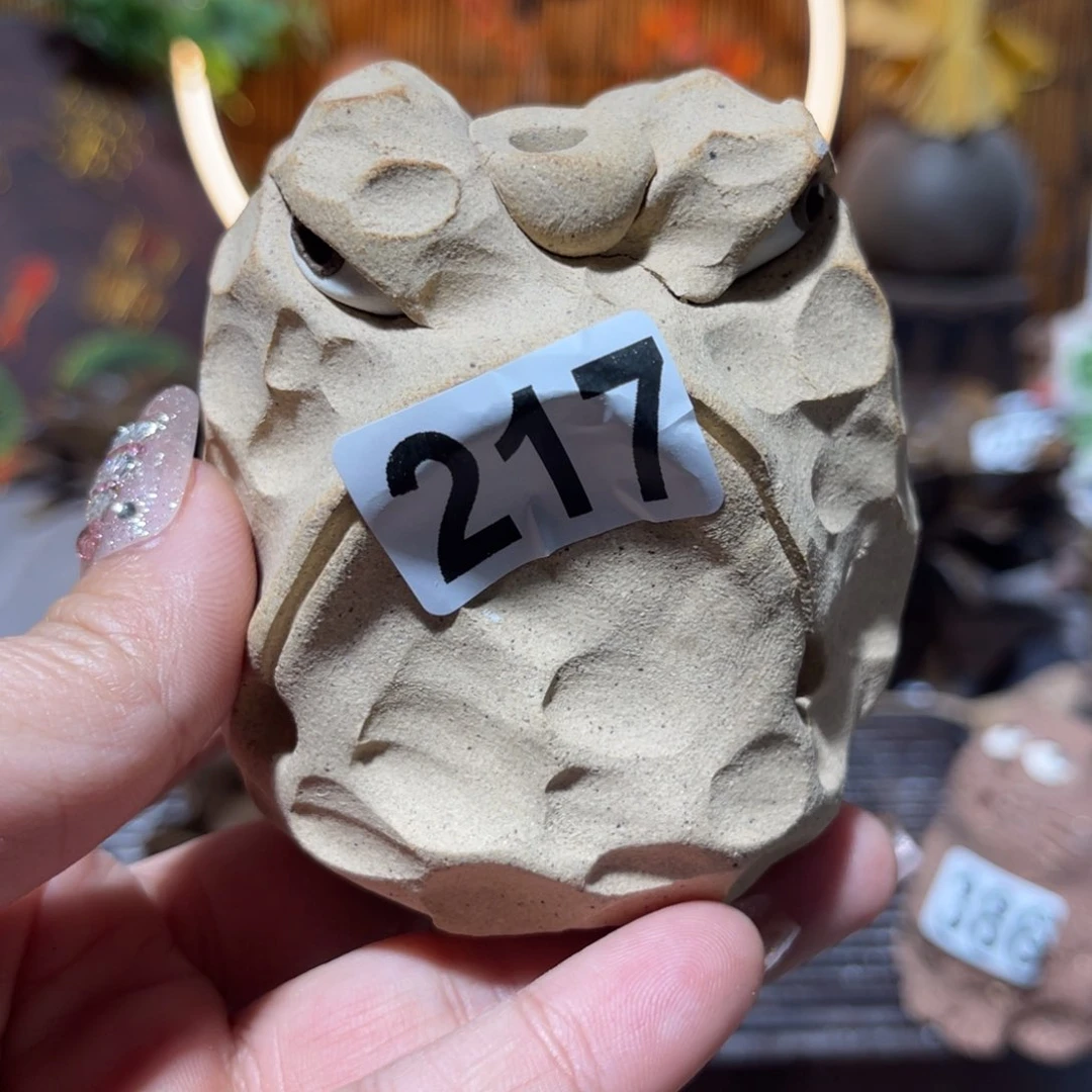 木村信弘柴烧保平