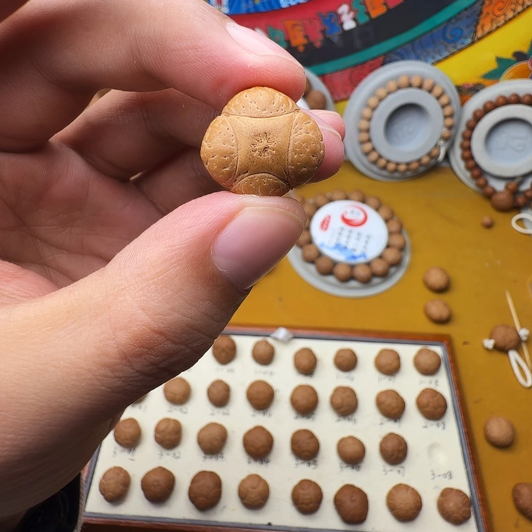 c***19+肌肉麒麟，一物一图