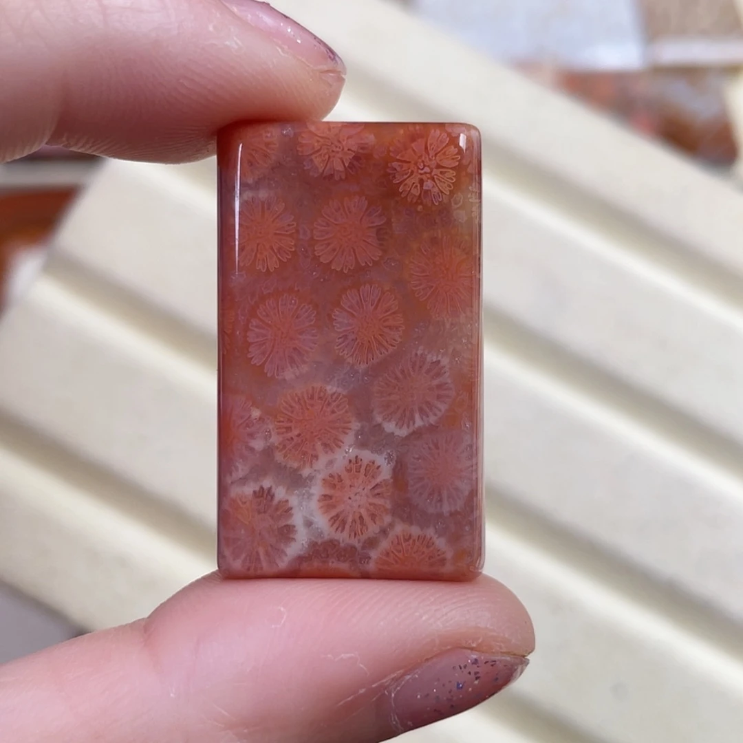 【闪购商品】硅化玉吊坠(赠链)未镶嵌