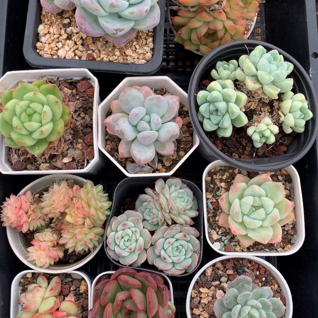 1104-28 套餐一组