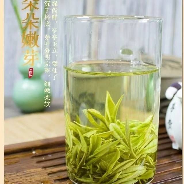 2025头春头采新茶白茶
