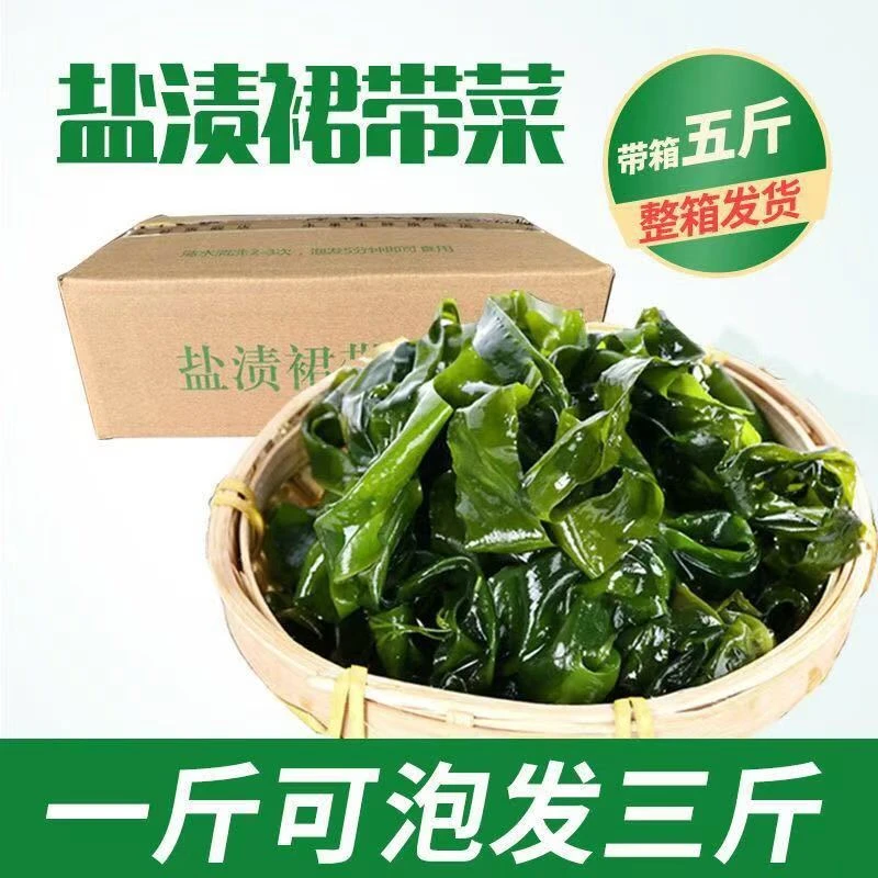 【抢！】5斤盐渍裙带菜凉拌煲汤火锅新鲜头茬