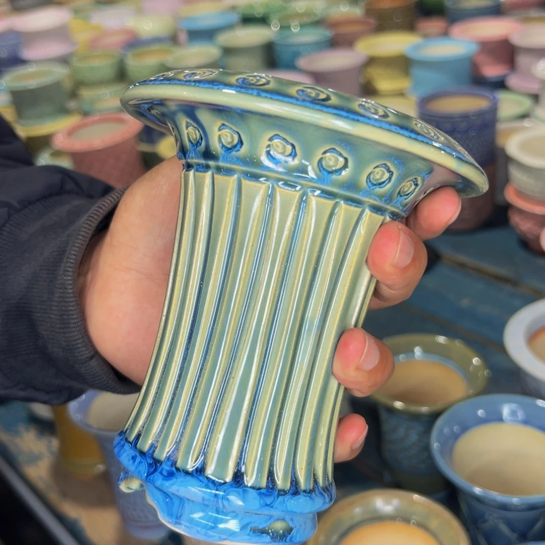 多肉一物一拍0529-262