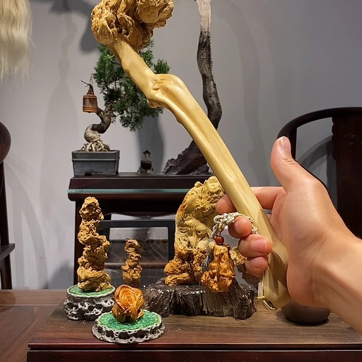 恐****六道木降龙木收藏级天花板