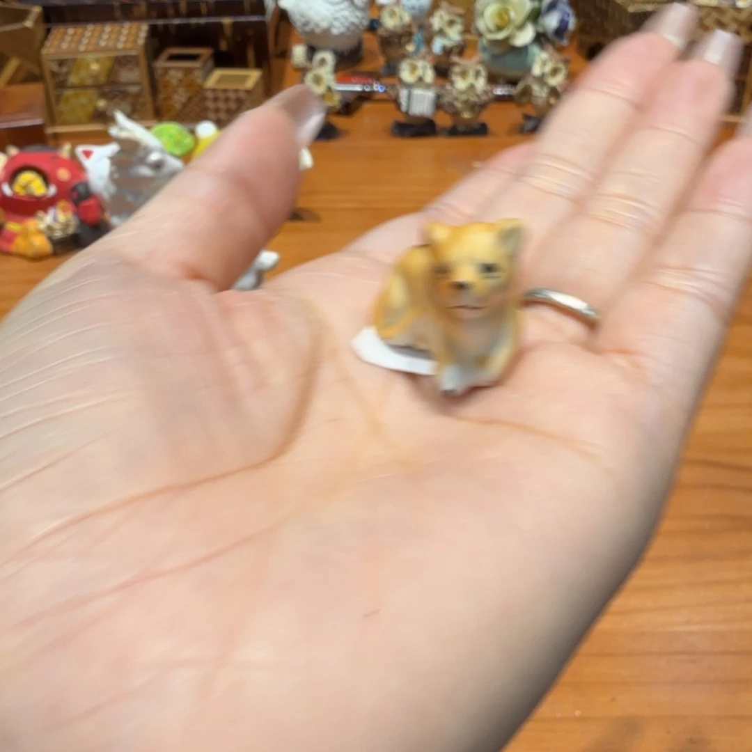 哦哦哦哦哦哦哦哦哦哦哦