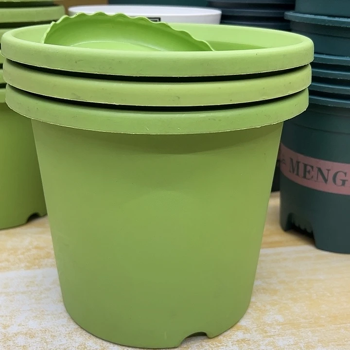 4个果绿3号四季盆带托盘